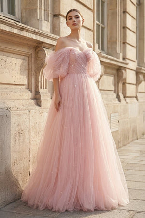 Pink Tulle Floor Length Prom Dress, Cute A - Line Evening Party Dress - KissProm
