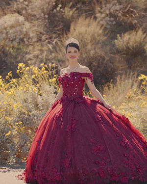 Ball Gown Organza Off The Shoulder Burgundy Quinceanera Dress