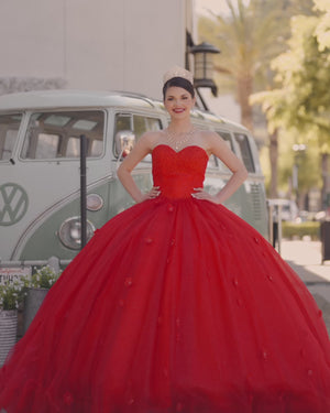Red 3D Flowers Glitter Sequins Sleeveless Quinceanera Dresses
