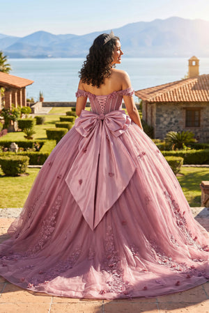 Off The Shoulder Lace Up Back Appliques Tulle Quinceanera Dress - KissProm